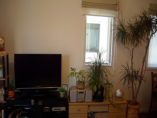 ダイニングテーブル横はパソコンスペース。テレビ回りはご主人様の趣味で観葉植物を置き、癒し感たっぷりです。 