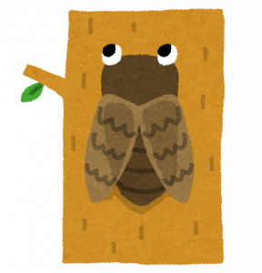 虫の入らない床下 愛知安城店のブログ 注文住宅のユニバーサルホーム 虫の入らない床下 愛知安城店のブログ 注文住宅のユニバーサルホーム