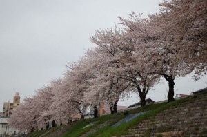 Atsugi00B