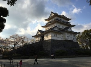 IMG_0144