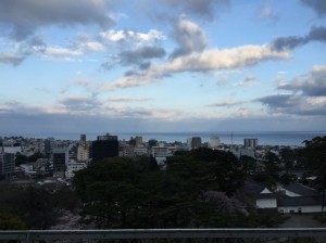 IMG_0150