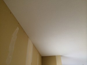 IMG_4527