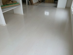 IMG_4786