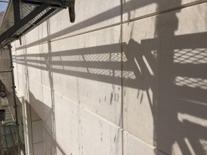 IMG_5406