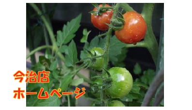 imabari140724a.jpg