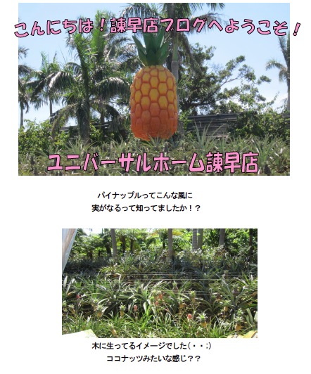 isahaya140731a.jpg
