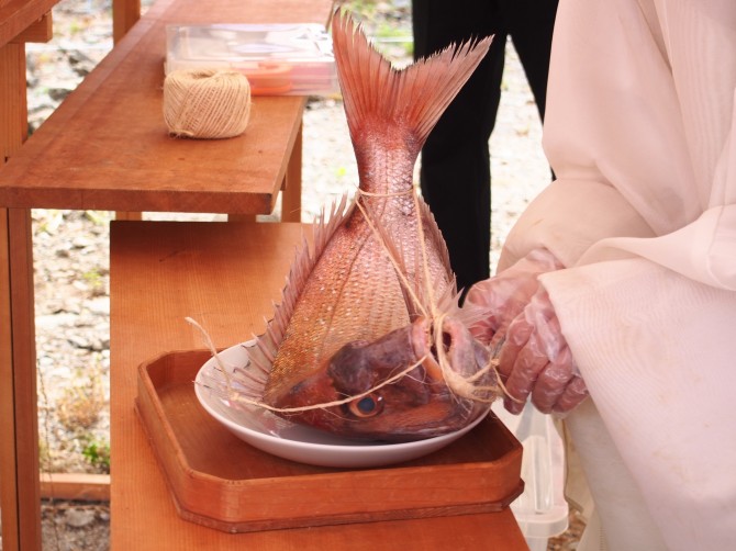 鯛