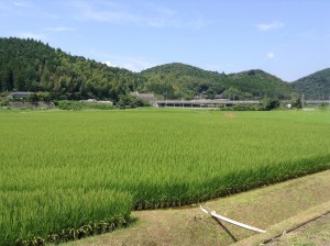20140827_032707160_iOS2