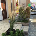 20141019_063548217_iOS
