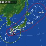 310261-AUT-019