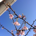 IMG_5197[1]