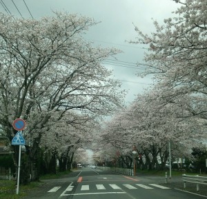 20150401_121448_277