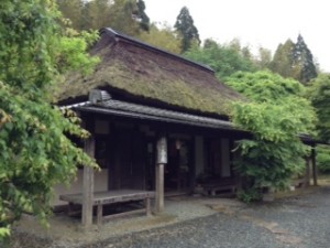 image1