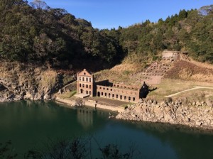 IMG_1291