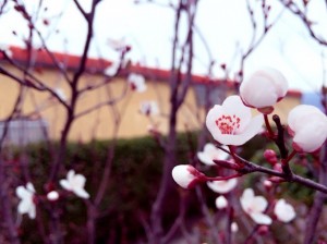 IMG_0960[1]