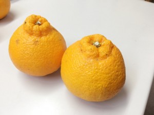 IMG_2625