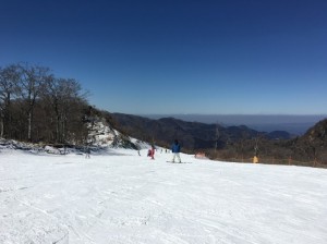 IMG_2759