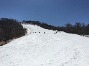 IMG_2760