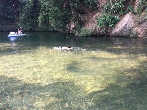 IMG_4785