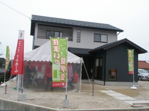 3.15 042