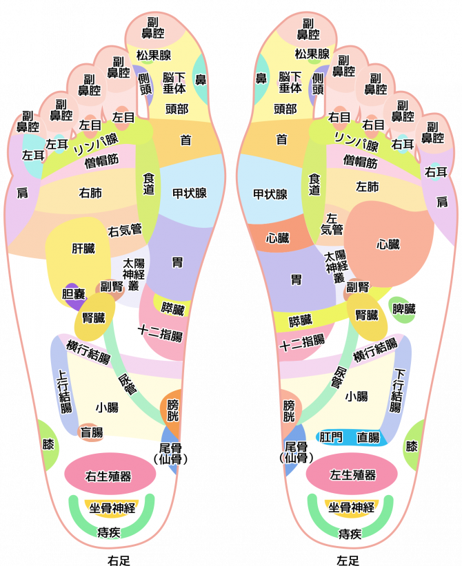 床暖房で足の裏から健康に 石川小松店のブログ 注文住宅のユニバーサルホーム