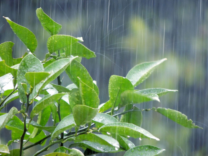集中豪雨による水害に注意 梅雨の雨の特徴と対策って 石川小松店のブログ 注文住宅のユニバーサルホーム