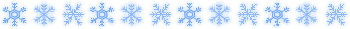 ライン12月・1月