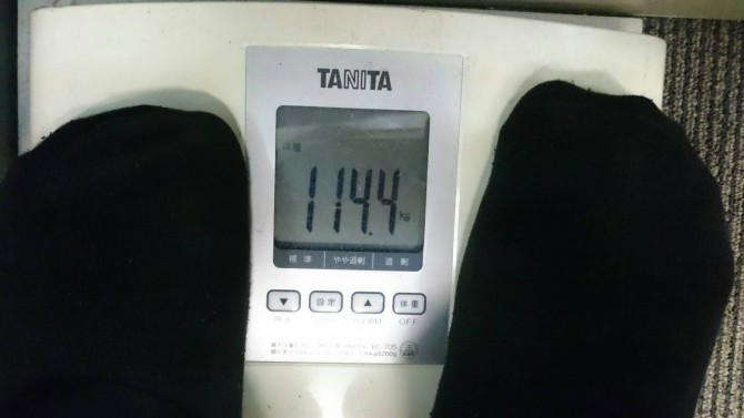 8317