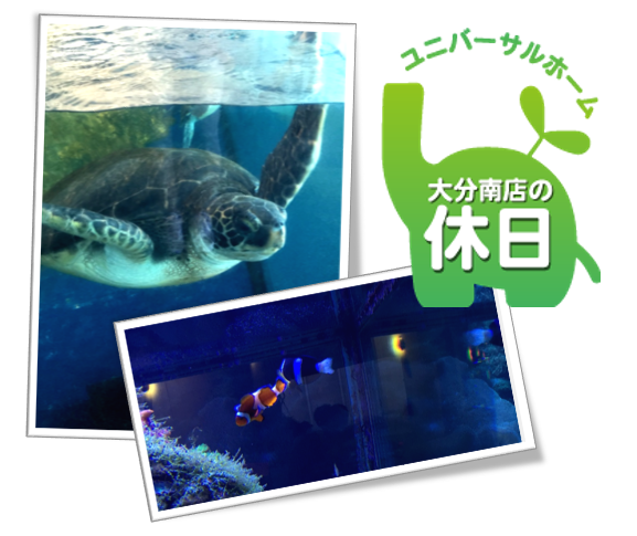 0822_umitamago
