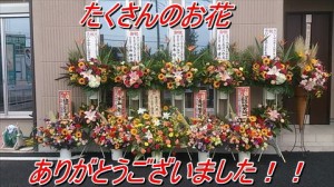image (2)
