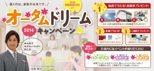 mainvisual
