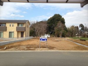 IMG_2593_R