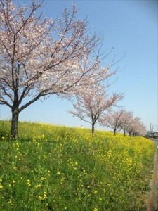 IMG_2970_R