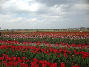 IMG_3249_R