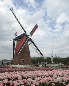 IMG_3286
