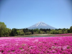 IMG_3715_R