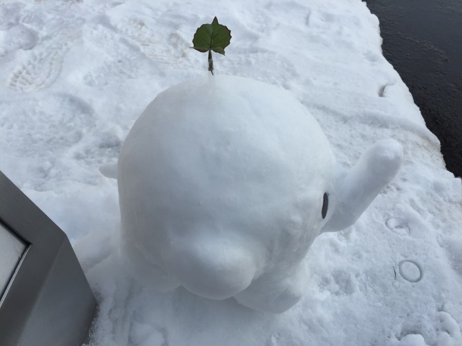 写真 2015-01-24 14 39 38