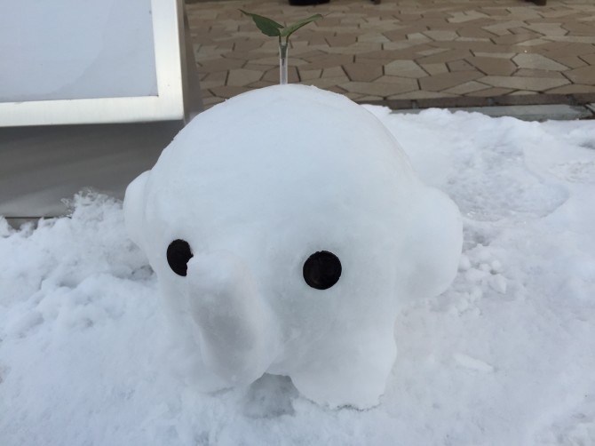 写真 2015-01-24 14 39 52