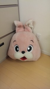 IMAG2558