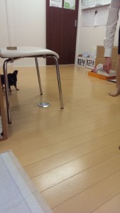 ②
