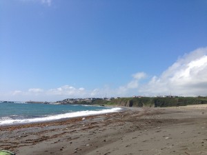 ③そのあと海に行くも波高く