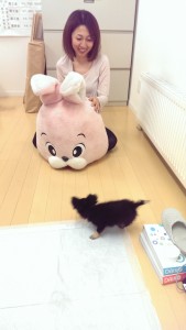 ④