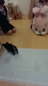 ⑤