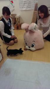 ⑧