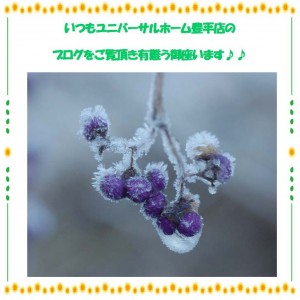 題名