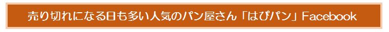 minami25-4