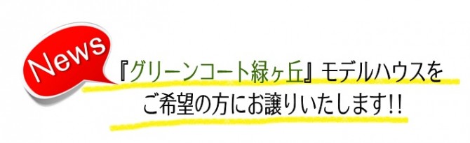 モデル