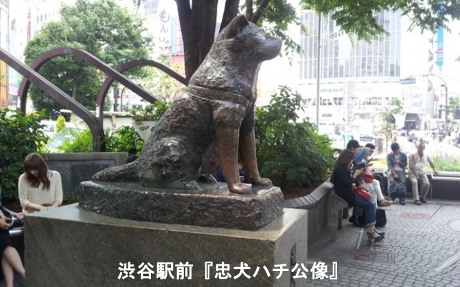 ハチ公③