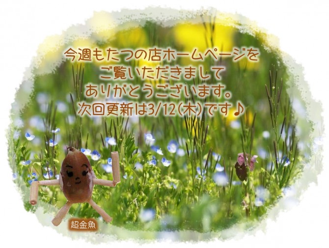 次回