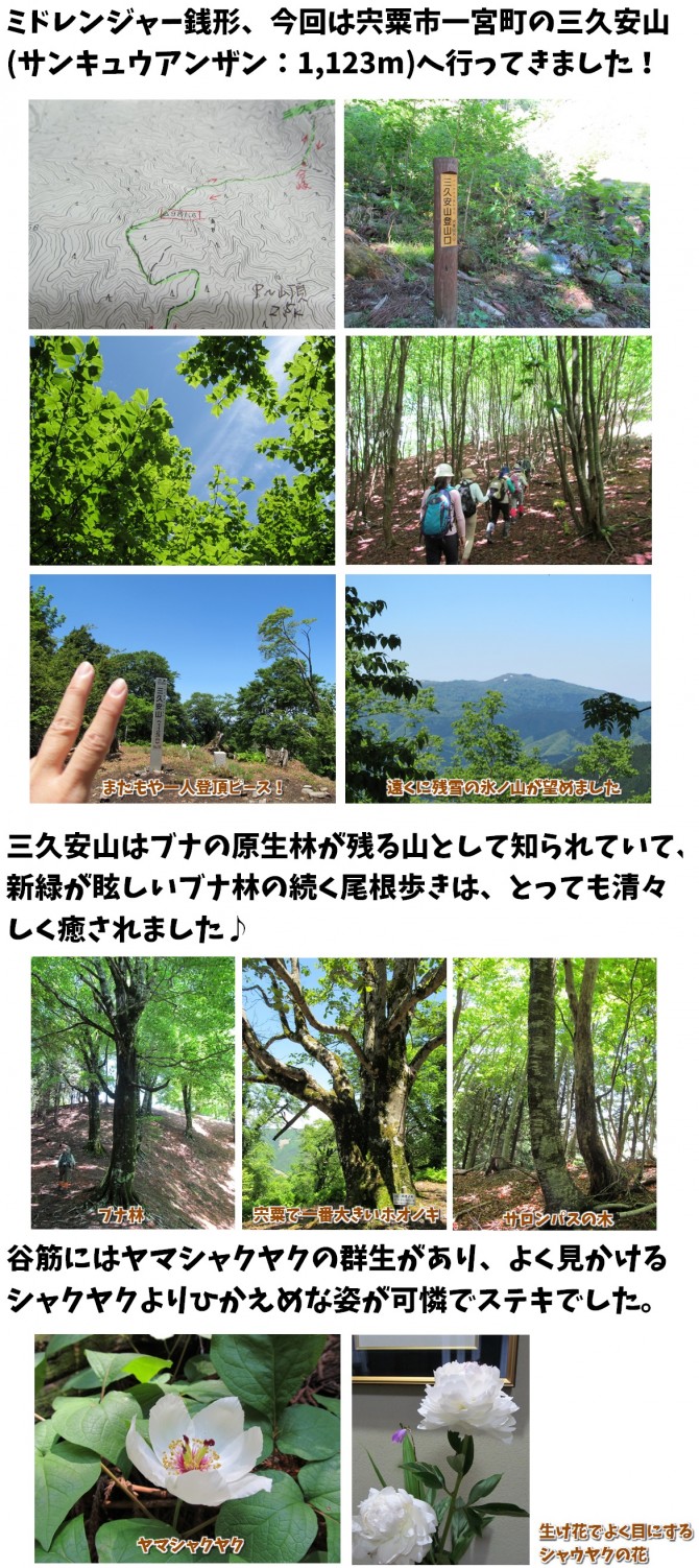 ミド